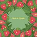 Anthurium red flovers, green leaves, Lorem Ipsum background. Art design element stock vector illustration